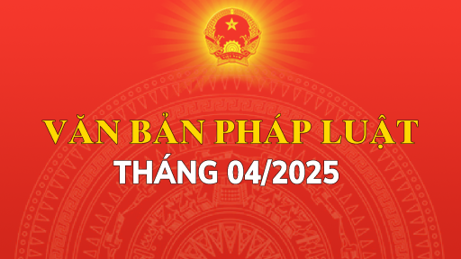 pháp luật