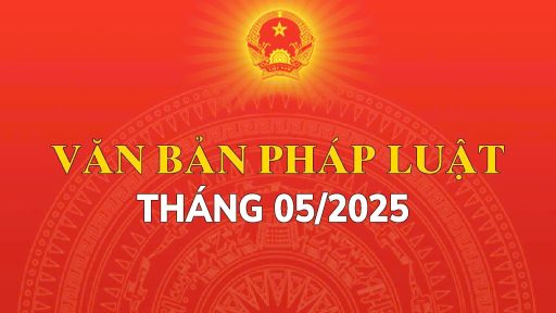 văn bản quy phạm pháp luật