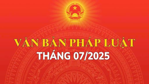Văn bản quy phạm pháp luật