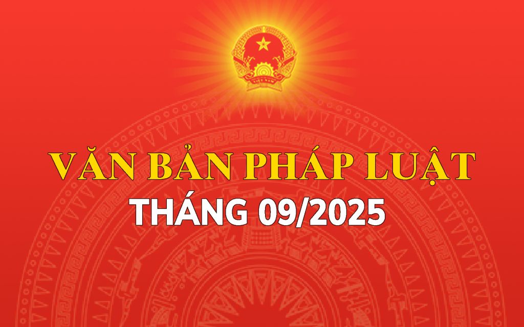 quy phạm pháp luật