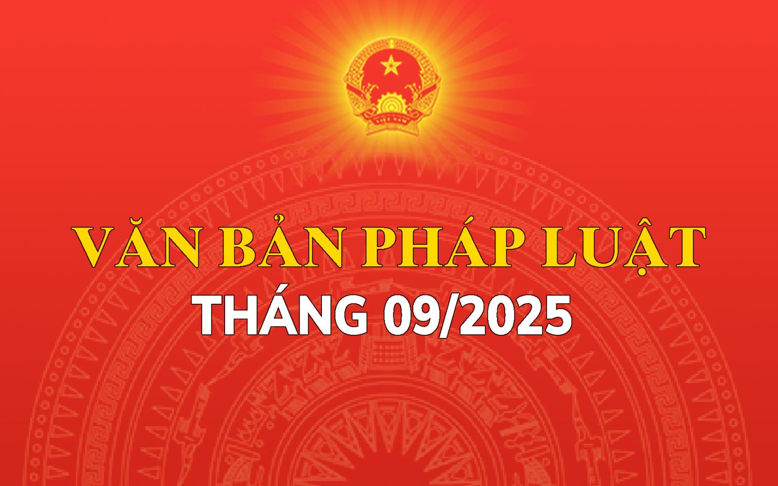 quy phạm pháp luật