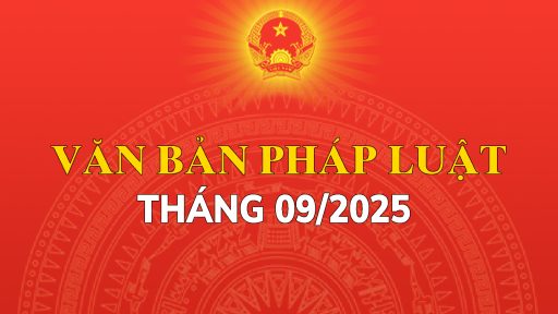 quy phạm pháp luật