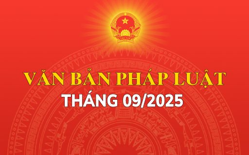 quy phạm pháp luật